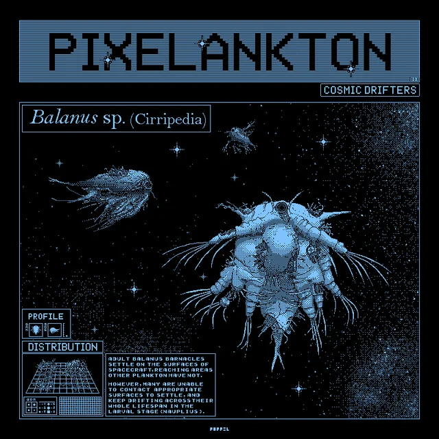Pixelankton003 - Nauplius Larva of Balanus Barnacle