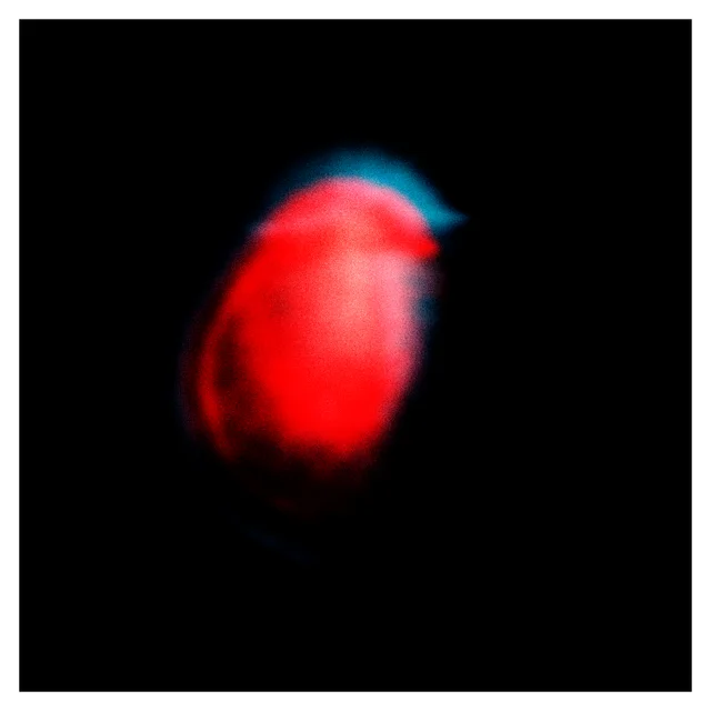 Collection: Generative Diopter | Name: i. Little birds, I guess.
