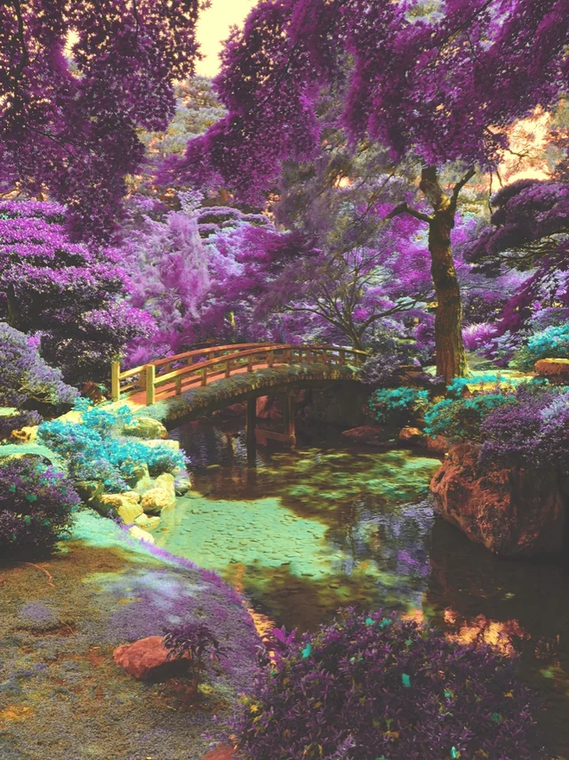 Cyberpunk Japanese Garden